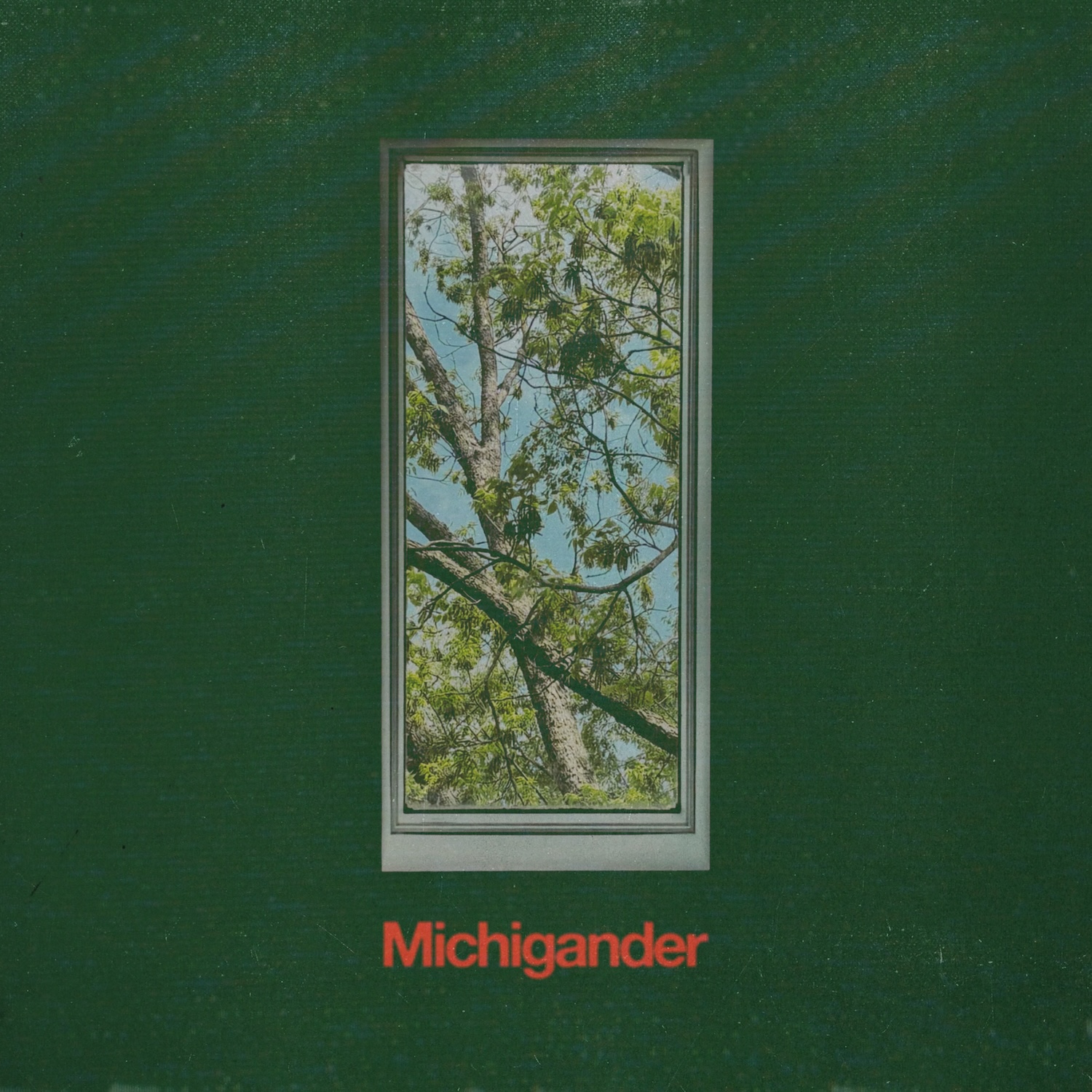 Michigander — Michigander