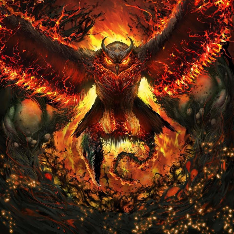 Rage Gracefully by Rad Owl album cover art