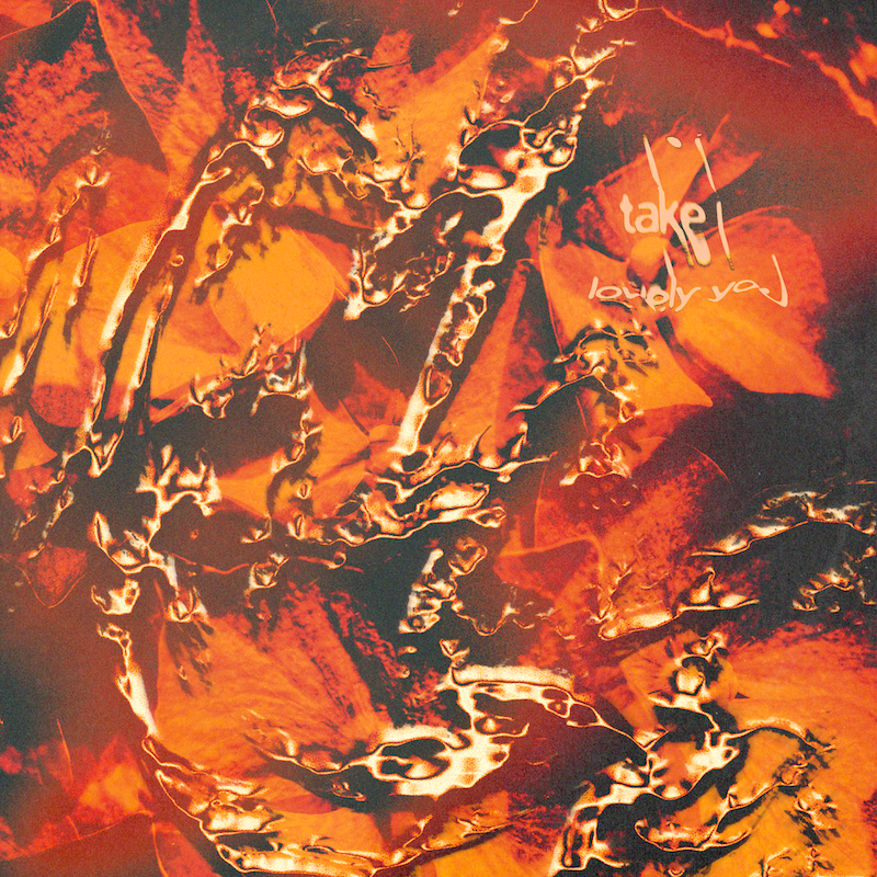 take i lovely you by Muted Color  album cover art - Dream Pop