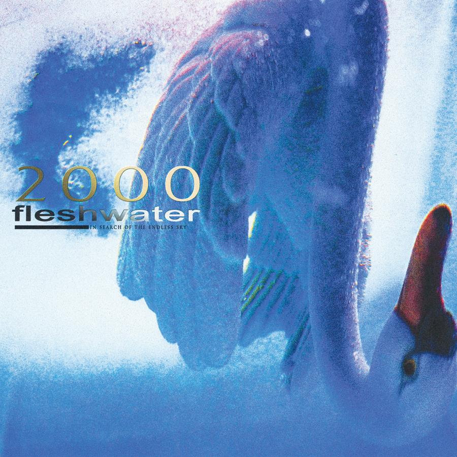 2000: In Search of the Endless Sky by Fleshwater album cover art