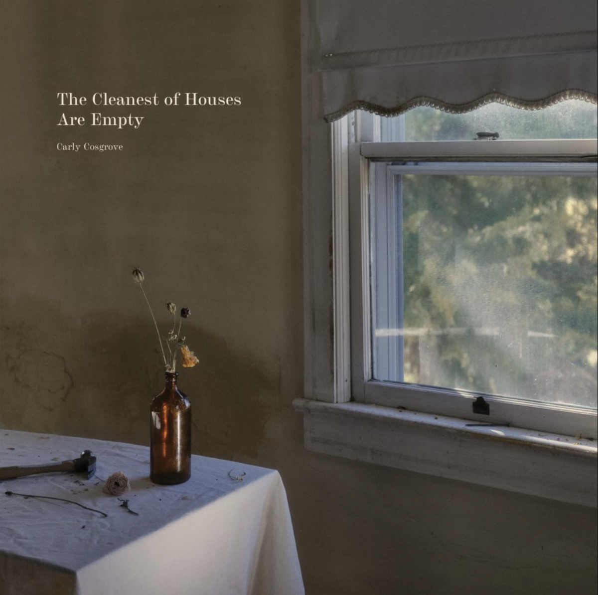The Cleanest of Houses Are Empty by Carly Cosgrove album cover art