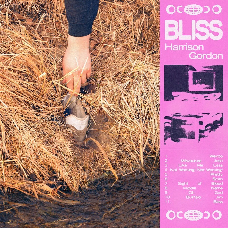 Bliss by Harrison Gordon album cover art - Indie Rock, Emo, Punk Rock